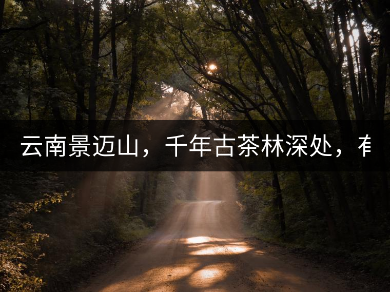 云南景邁山,千年古茶林深處,有一座世外桃源般的糯...云南景邁山,千年古茶林深處,有一座世外桃源般的糯干古寨 云南景邁山,千年古茶林深處,有一座世外桃源般的糯...云南景邁山,千年古茶林深處,有一座世外桃源般的糯干古寨