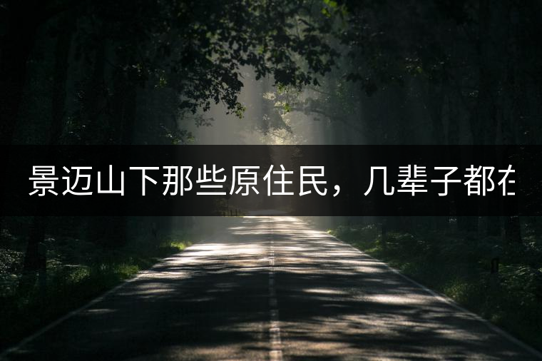 景邁山下那些原住民，幾輩子都在采茶、制茶，才有最...景邁山下那些原住民，幾輩子都在采茶、制茶，才有最好喝的普洱