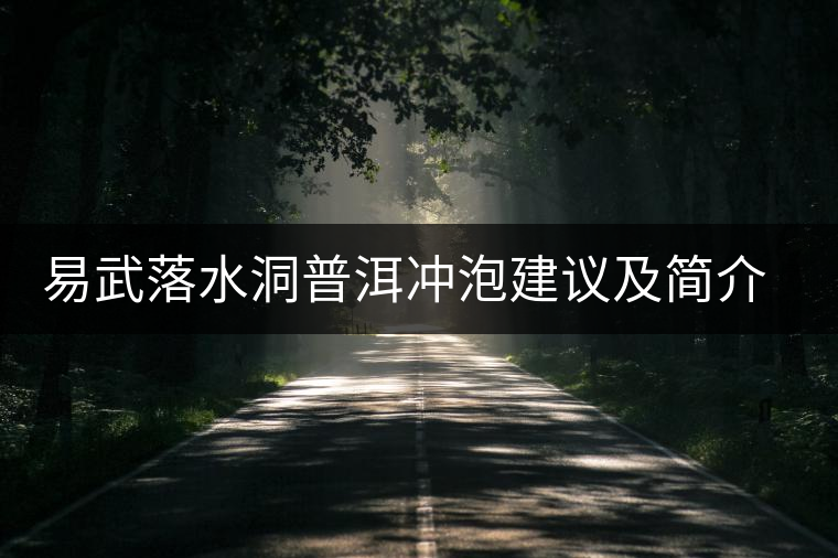 易武落水洞普洱沖泡建議及簡介易武落水洞普洱沖泡建議及簡介