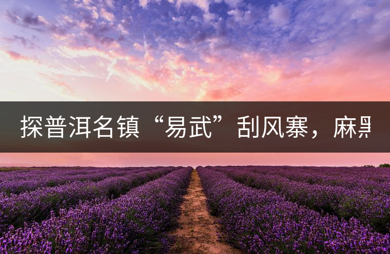 探普洱名鎮“易武”刮風寨,麻黑,落水洞!小編親自下...探普洱名鎮“易武”刮風寨,麻黑,落水洞!小編親自下手“殺青” 探普洱名鎮“易武”刮風寨,麻黑,落水洞!小編親自下...探普洱名鎮“易武”刮風寨,麻黑,落水洞!小編親自下手“殺青”