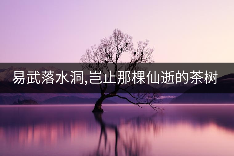 易武落水洞,豈止那棵仙逝的茶樹王?易武落水洞,豈止那棵仙逝的茶樹王？