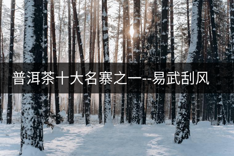 普洱茶十大名寨之一--易武刮風寨普洱茶十大名寨之一——易武刮風寨 普洱茶十大名寨之一--易武刮風寨普洱茶十大名寨之一——易武刮風寨