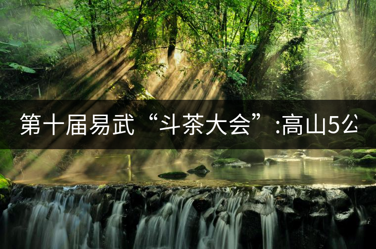 第十屆易武“斗茶大會(huì)”:高山5公斤15萬(wàn)，刮風(fēng)寨5公斤...第十屆易武“斗茶大會(huì)”：高山5公斤15萬(wàn)，刮風(fēng)寨5公斤30萬(wàn)...