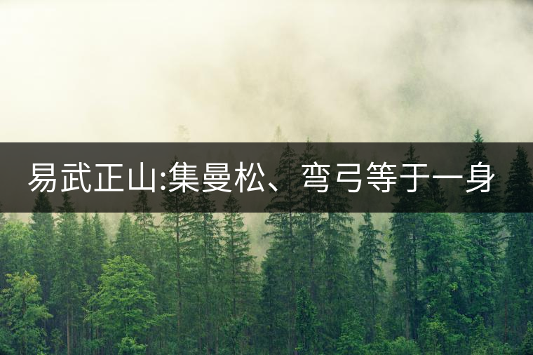 易武正山:集曼松、彎弓等于一身的貴族老黃片,好喝沒得...易武正山:集曼松、彎弓等于一身的貴族老黃片,好喝沒得說 易武正山:集曼松、彎弓等于一身的貴族老黃片,好喝沒得...易武正山:集曼松、彎弓等于一身的貴族老黃片,好喝沒得說