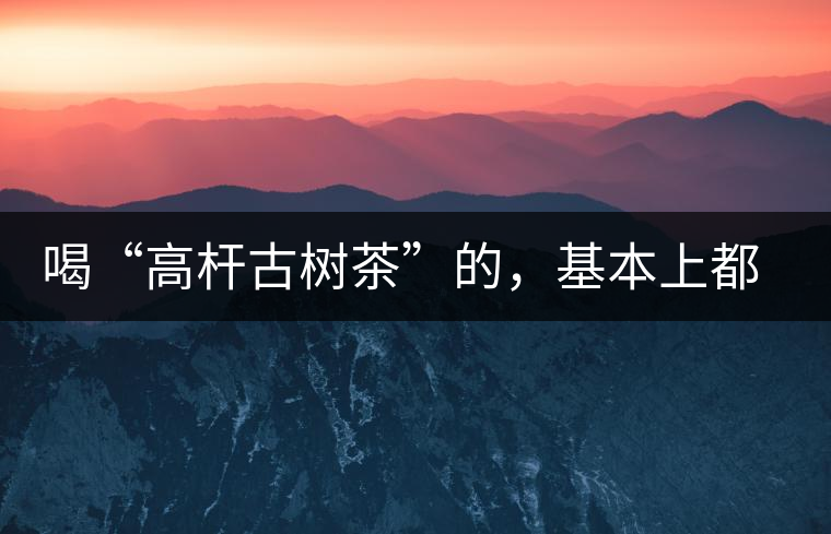 喝“高桿古樹茶”的,基本上都是不懂茶的 喝“高桿古樹茶”的,基本上都是不懂茶的