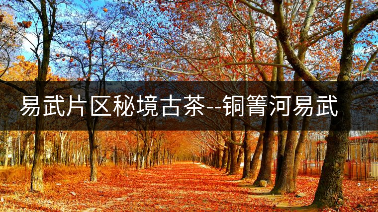 易武片區秘境古茶--銅箐河易武片區秘境古茶——銅箐河