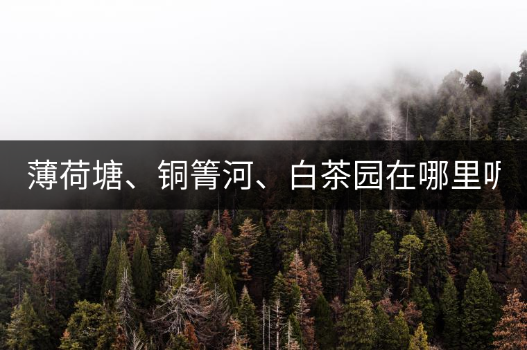 薄荷塘、銅箐河、白茶園在哪里呢?薄荷塘、銅箐河、白茶園在哪里呢? 薄荷塘、銅箐河、白茶園在哪里呢?薄荷塘、銅箐河、白茶園在哪里呢?