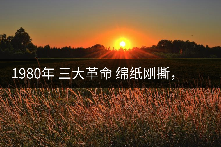 1980年 三大革命 綿紙剛撕，品相極好，整體干凈漂亮1980年 三大革命 綿紙剛撕，品相極好，整體干凈漂亮