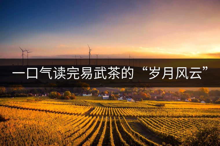 一口氣讀完易武茶的“歲月風云”