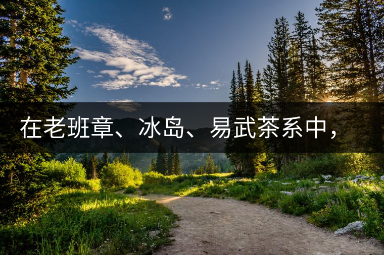 在老班章、冰島、易武茶系中,誰(shuí)的潛力最大? 在老班章、冰島、易武茶系中,誰(shuí)的潛力最大?