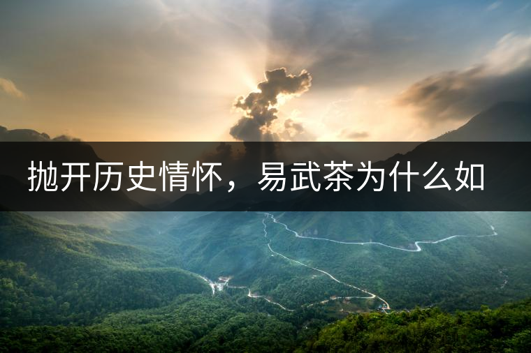 拋開歷史情懷,易武茶為什么如此受歡迎? 拋開歷史情懷,易武茶為什么如此受歡迎?