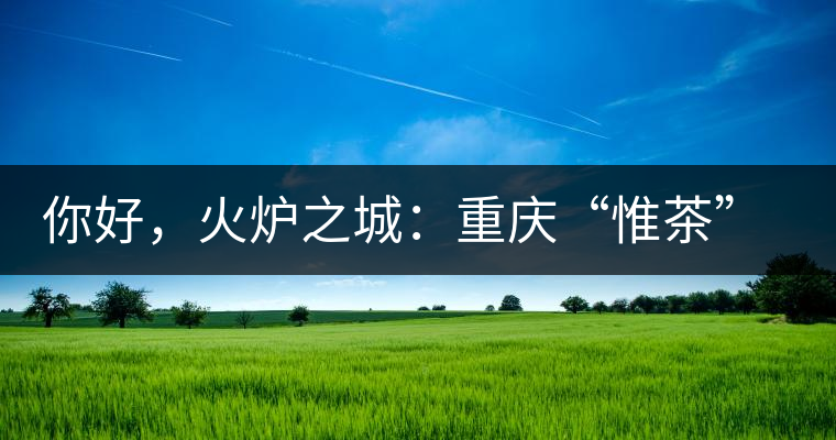 你好,火爐之城:重慶“惟茶”兩周年·易武茶會 你好,火爐之城:重慶“惟茶”兩周年·易武茶會