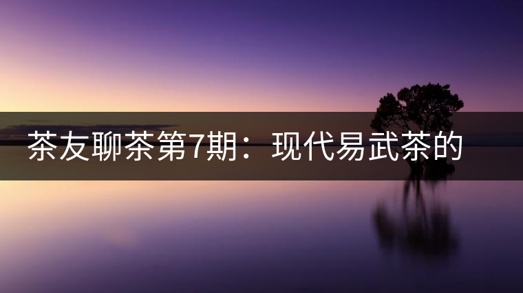 茶友聊茶第7期：現代易武茶的發起者，普洱茶史重量級人物—張毅