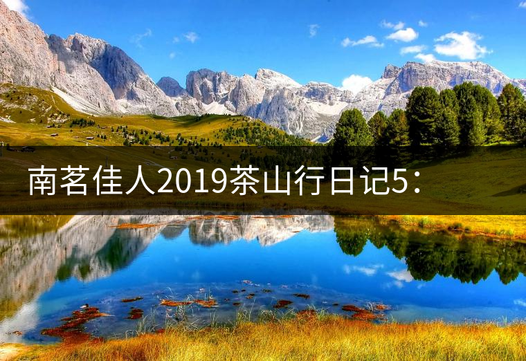 南茗佳人2019茶山行日記5:麻黑——最具代表性的易武茶 南茗佳人2019茶山行日記5:麻黑——最具代表性的易武茶