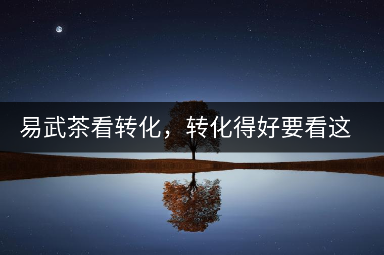 易武茶看轉(zhuǎn)化,轉(zhuǎn)化得好要看這三要素及品牌優(yōu)勢(shì)! 易武茶看轉(zhuǎn)化,轉(zhuǎn)化得好要看這三要素及品牌優(yōu)勢(shì)!