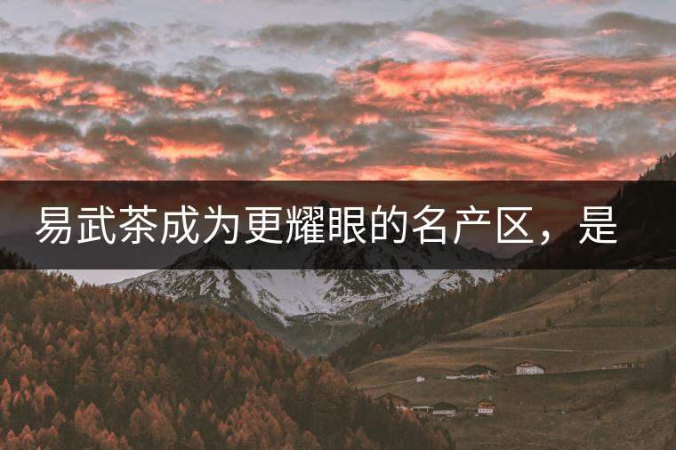 易武茶成為更耀眼的名產(chǎn)區(qū),是歷史的回歸,是未來(lái)市場(chǎng)的必然導(dǎo)向 易武茶成為更耀眼的名產(chǎn)區(qū),是歷史的回歸,是未來(lái)市場(chǎng)的必然導(dǎo)向