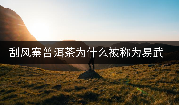刮風(fēng)寨普洱茶為什么被稱為易武茶王? 刮風(fēng)寨普洱茶為什么被稱為易武茶王?