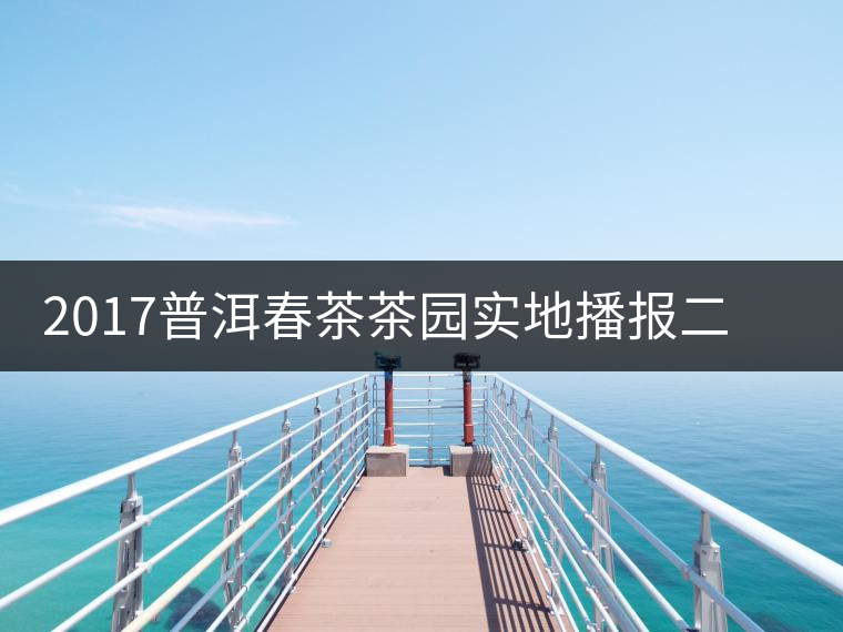 2017普洱春茶茶園實地播報二——臨倉勐庫鎮小戶賽 2017普洱春茶茶園實地播報二——臨倉勐庫鎮小戶賽