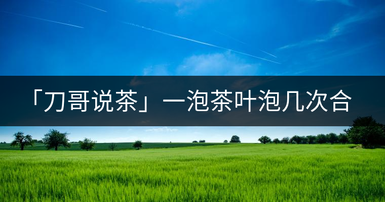 「刀哥說茶」一泡茶葉泡幾次合適?「刀哥說茶」一泡茶葉泡幾次合適? 「刀哥說茶」一泡茶葉泡幾次合適?「刀哥說茶」一泡茶葉泡幾次合適?