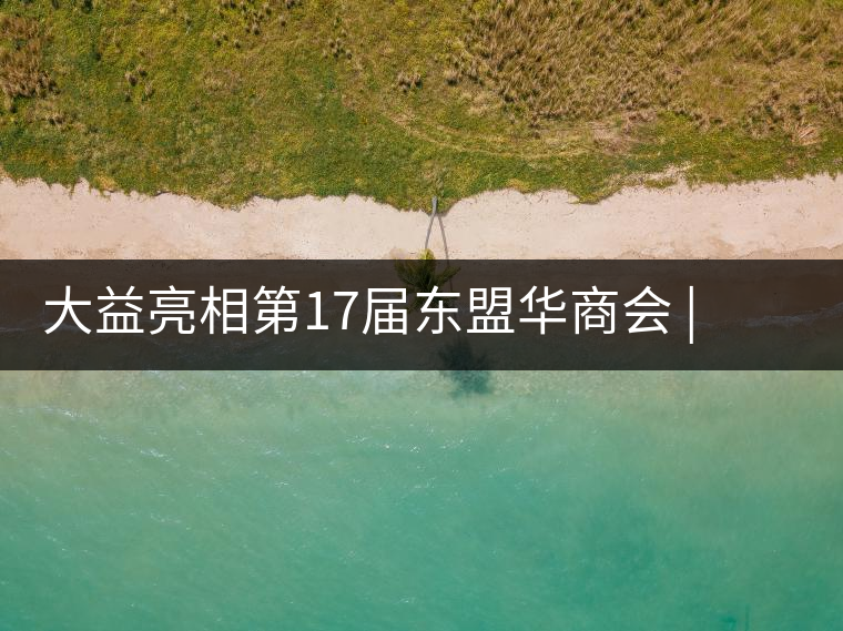 大益亮相第17屆東盟華商會 | 海內外嘉賓共謀發展，共品大益茶