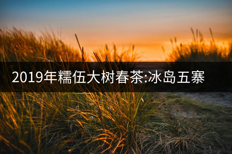 2019年糯伍大樹春茶:冰島五寨甜柔口感的代表,售價不...2019年糯伍大樹春茶:冰島五寨甜柔口感的代表,售價不到500 2019年糯伍大樹春茶:冰島五寨甜柔口感的代表,售價不...2019年糯伍大樹春茶:冰島五寨甜柔口感的代表,售價不到500