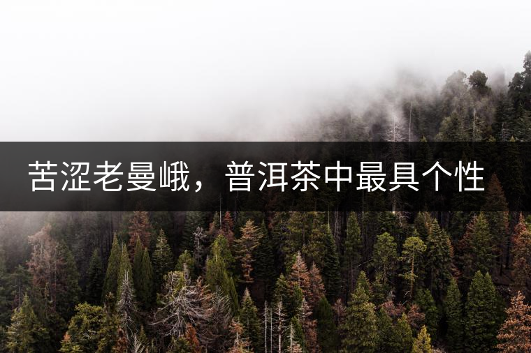 苦澀老曼峨,普洱茶中最具個性的“布朗味”苦澀老曼峨,普洱茶中最具個性的“布朗味” 苦澀老曼峨,普洱茶中最具個性的“布朗味”苦澀老曼峨,普洱茶中最具個性的“布朗味”