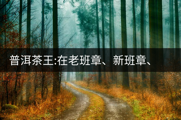 普洱茶王:在老班章、新班章、老曼峨之間普洱茶王：在老班章、新班章、老曼峨之間