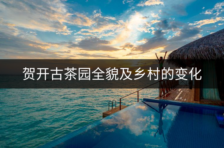 賀開古茶園全貌及鄉村的變化 賀開古茶園全貌及鄉村的變化