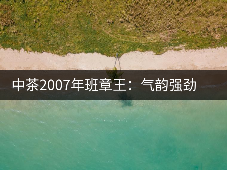 中茶2007年班章王:氣韻強(qiáng)勁,蜂蜜水般甜潤(rùn),一直被老茶客撿漏 中茶2007年班章王:氣韻強(qiáng)勁,蜂蜜水般甜潤(rùn),一直被老茶客撿漏