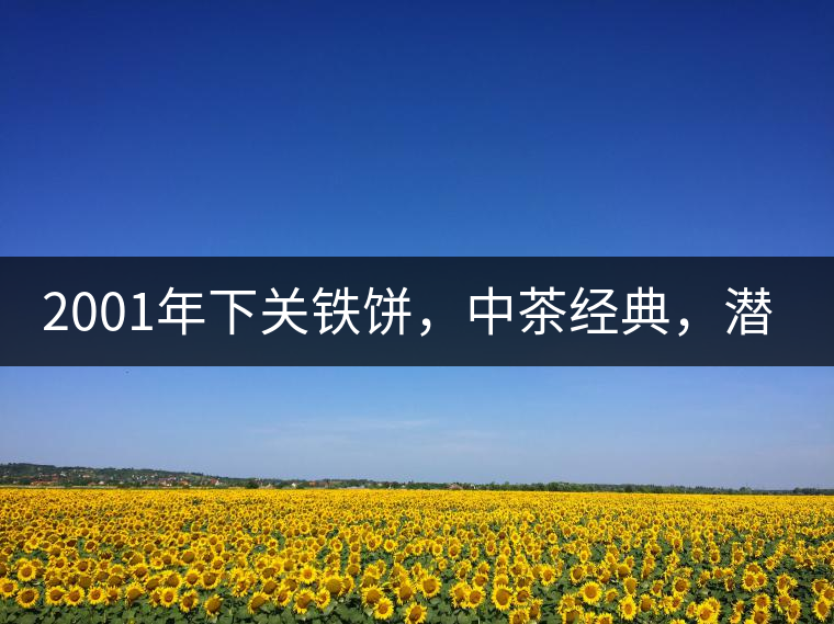 2001年下關(guān)鐵餅,中茶經(jīng)典,潛力可期! 2001年下關(guān)鐵餅,中茶經(jīng)典,潛力可期!