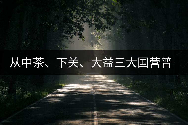 從中茶、下關、大益三大國營普洱茶廠變遷看普洱茶發展