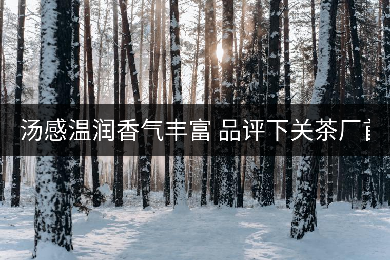 湯感溫潤香氣豐富 品評下關(guān)茶廠首批8653湯感溫潤香氣豐富 品評下關(guān)茶廠首批8653 湯感溫潤香氣豐富 品評下關(guān)茶廠首批8653湯感溫潤香氣豐富 品評下關(guān)茶廠首批8653