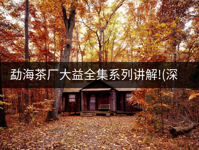 勐海茶廠大益全集系列講解!(深度講解大益茶品,建議收藏...勐海茶廠大益全集系列講解!(深度講解大益茶品,建議收藏) 勐海茶廠大益全集系列講解!(深度講解大益茶品,建議收藏...勐海茶廠大益全集系列講解!(深度講解大益茶品,建議收藏)