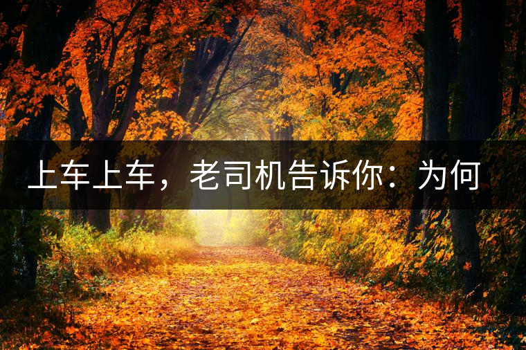 上車上車,老司機告訴你:為何明前茶貴如金 上車上車,老司機告訴你:為何明前茶貴如金