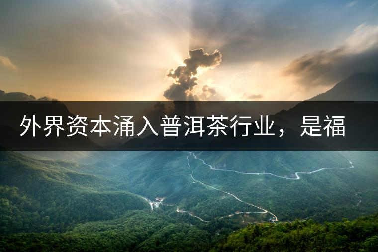 外界資本涌入普洱茶行業,是福還是禍? 外界資本涌入普洱茶行業,是福還是禍?
