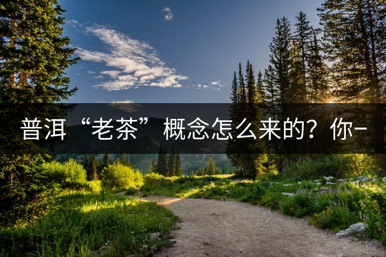 普洱“老茶”概念怎么來的?你一定想不到! 普洱“老茶”概念怎么來的?你一定想不到!