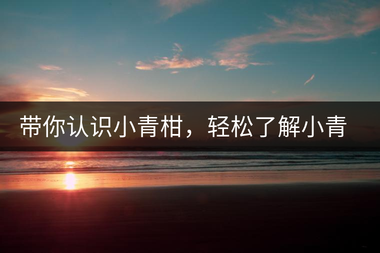 帶你認識小青柑，輕松了解小青柑的前世今生