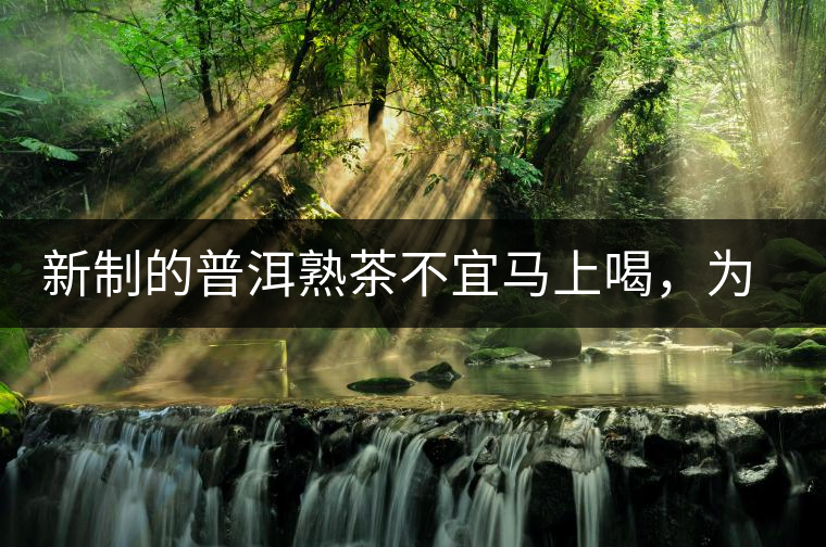 新制的普洱熟茶不宜馬上喝,為什么? 新制的普洱熟茶不宜馬上喝,為什么?