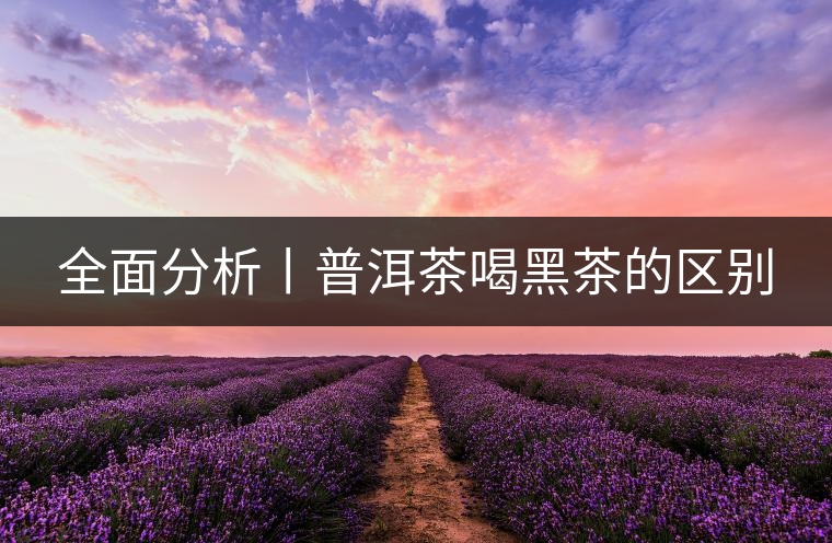 全面分析丨普洱茶喝黑茶的區別