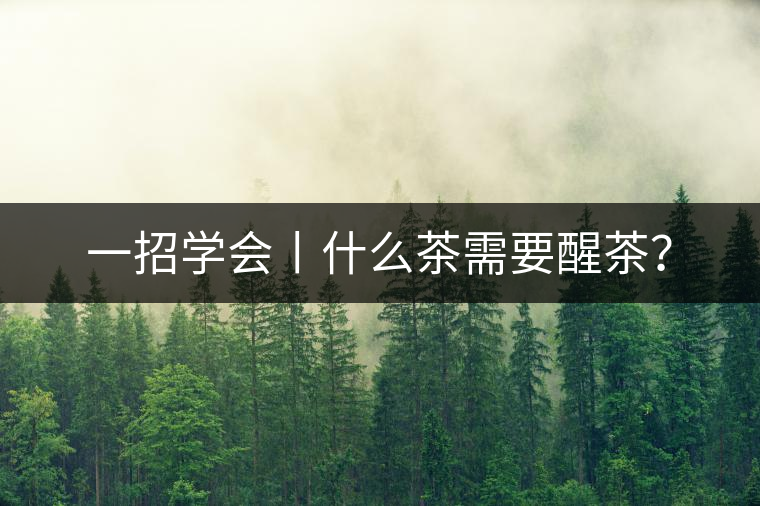 一招學會丨什么茶需要醒茶? 一招學會丨什么茶需要醒茶?