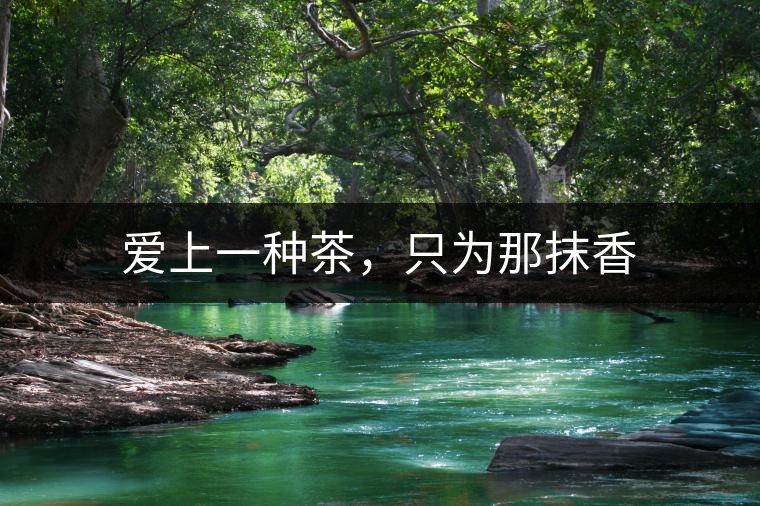 愛上一種茶，只為那抹香