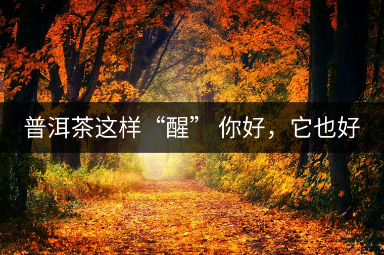 普洱茶這樣“醒” 你好,它也好 普洱茶這樣“醒” 你好,它也好