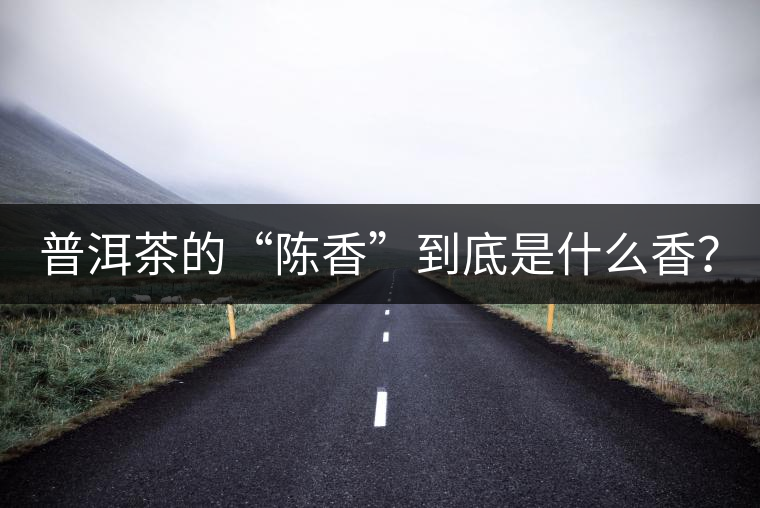 普洱茶的“陳香”到底是什么香? 普洱茶的“陳香”到底是什么香?