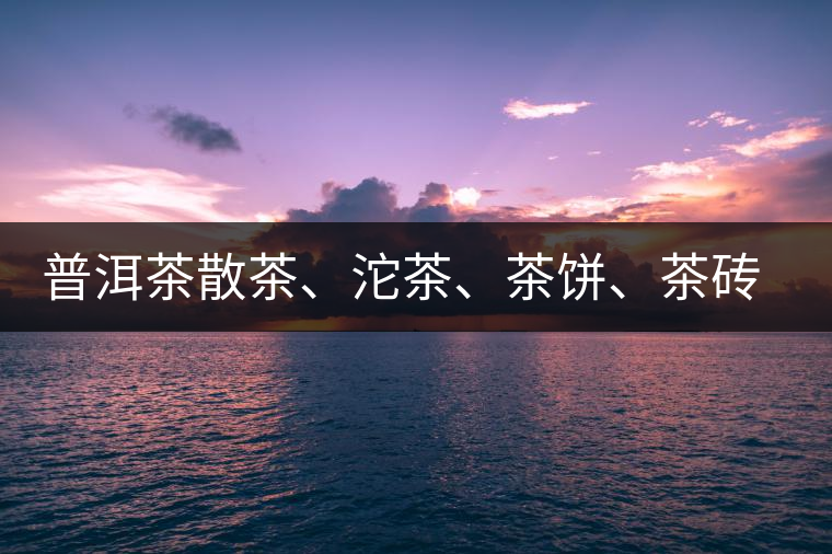 普洱茶散茶、沱茶、茶餅、茶磚哪種更好？