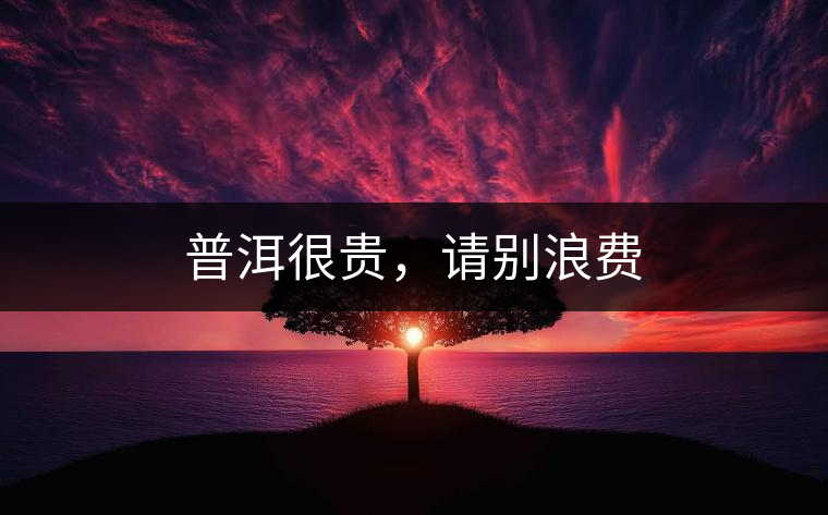 普洱很貴，請別浪費
