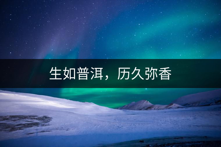 生如普洱,歷久彌香 生如普洱,歷久彌香