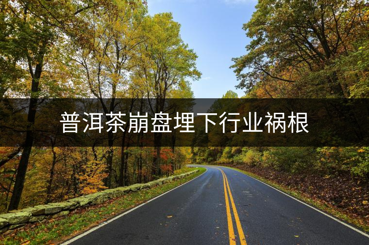 普洱茶崩盤埋下行業禍根