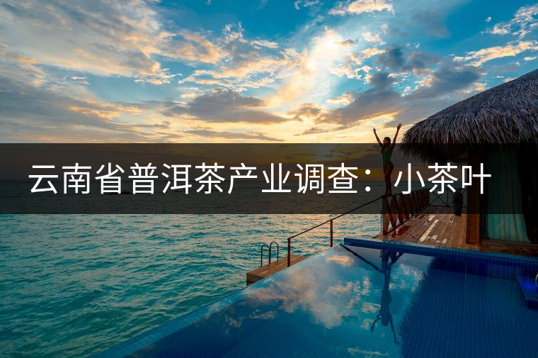 云南省普洱茶產業調查:小茶葉如何提檔升級 云南省普洱茶產業調查:小茶葉如何提檔升級