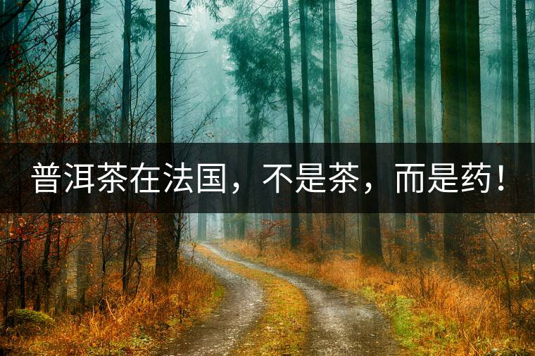 普洱茶在法國,不是茶,而是藥! 普洱茶在法國,不是茶,而是藥!