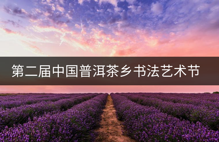 第二屆中國普洱茶鄉書法藝術節落幕 作品拍賣資助留守兒童